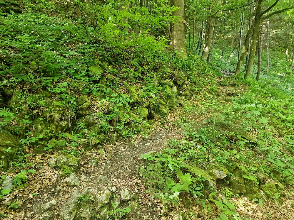 Slika je vidna v Google Chromu.