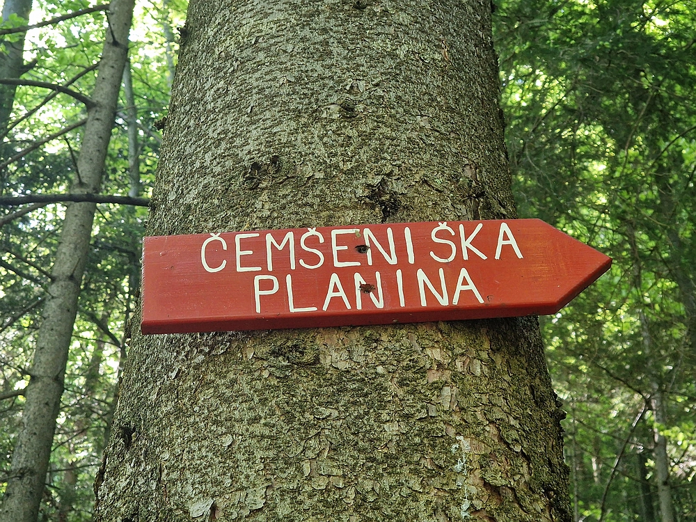 Slika je vidna v Google Chromu.