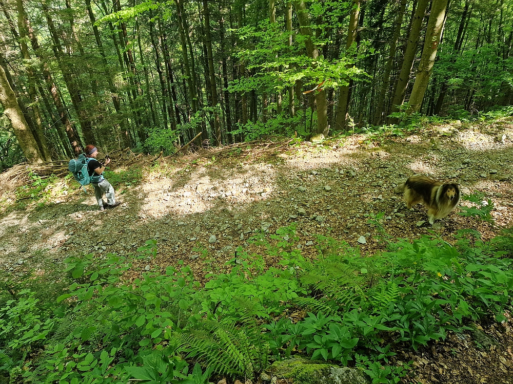 Slika je vidna v Google Chromu.