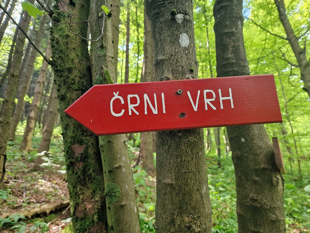 Slika je vidna v Google Chromu.