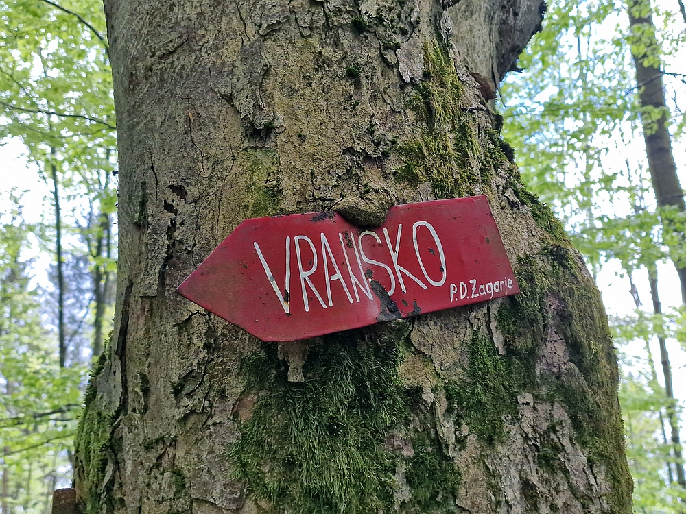 Slika je vidna v Google Chromu.