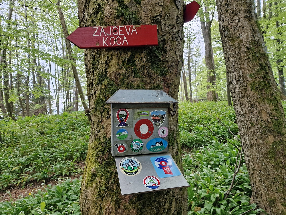 Slika je vidna v Google Chromu.