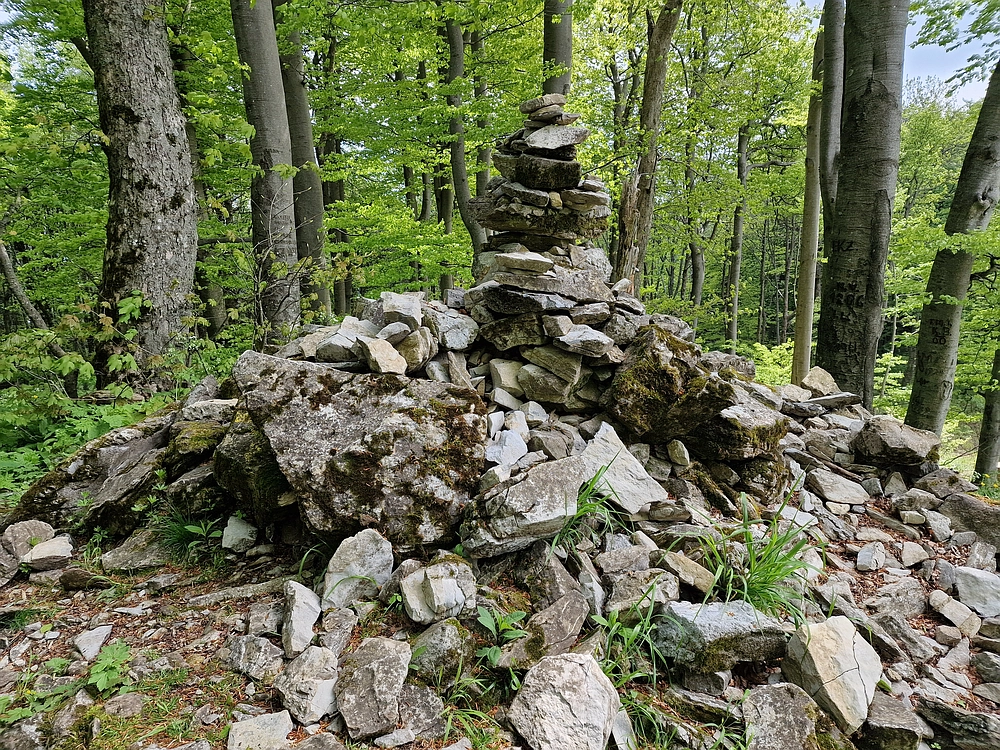 Slika je vidna v Google Chromu.