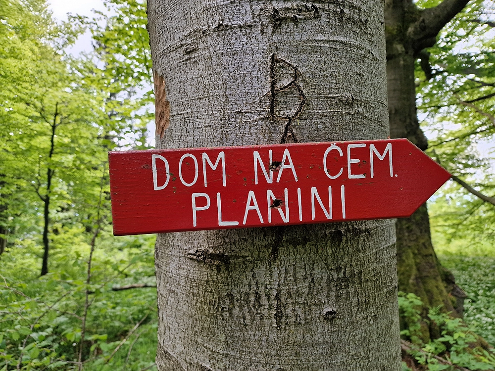 Slika je vidna v Google Chromu.