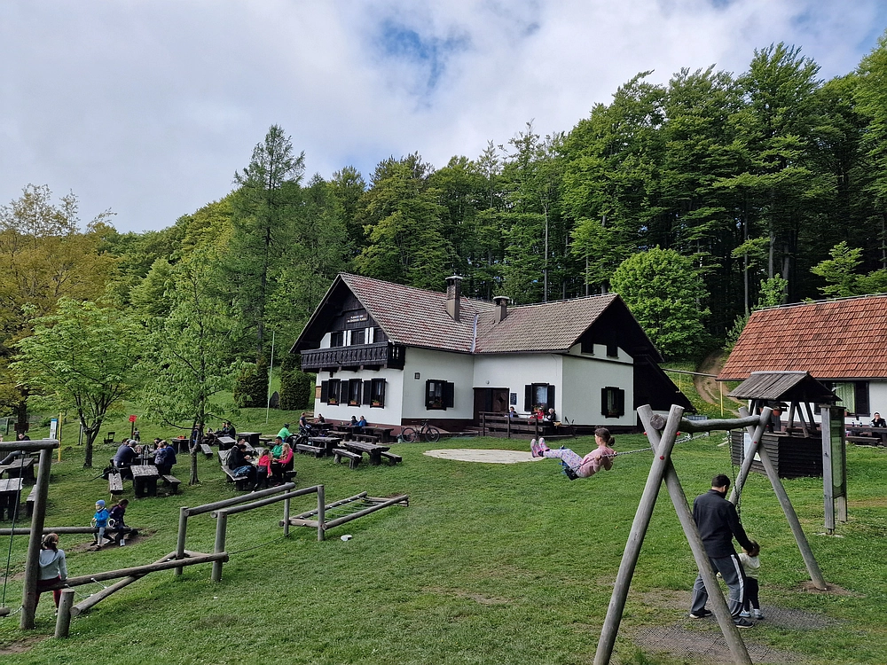 Slika je vidna v Google Chromu.