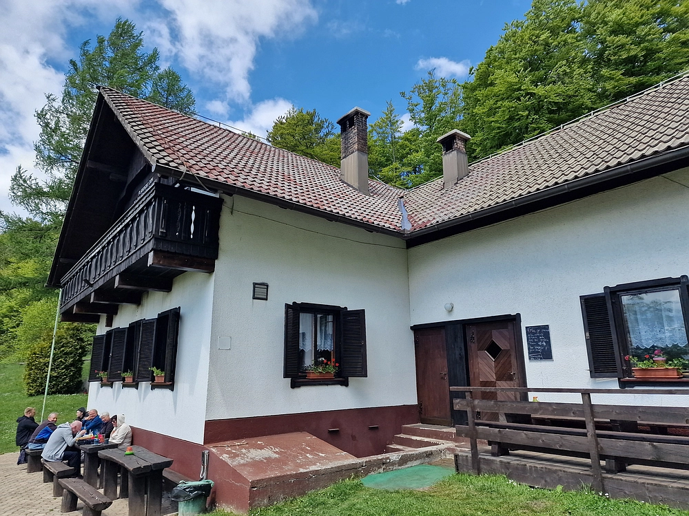 Slika je vidna v Google Chromu.