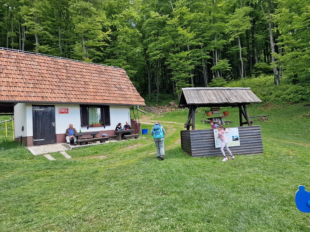 Slika je vidna v Google Chromu.