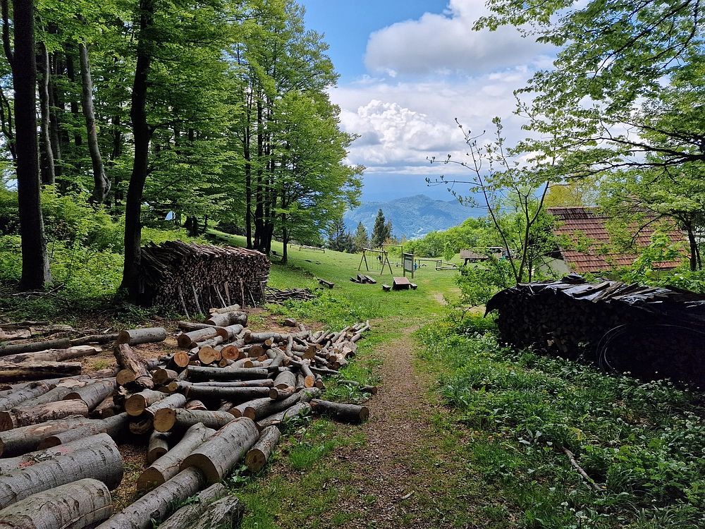 Slika je vidna v Google Chromu.