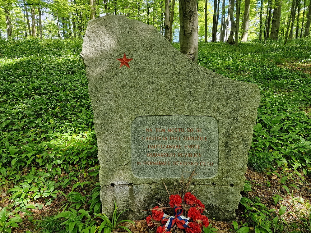 Slika je vidna v Google Chromu.