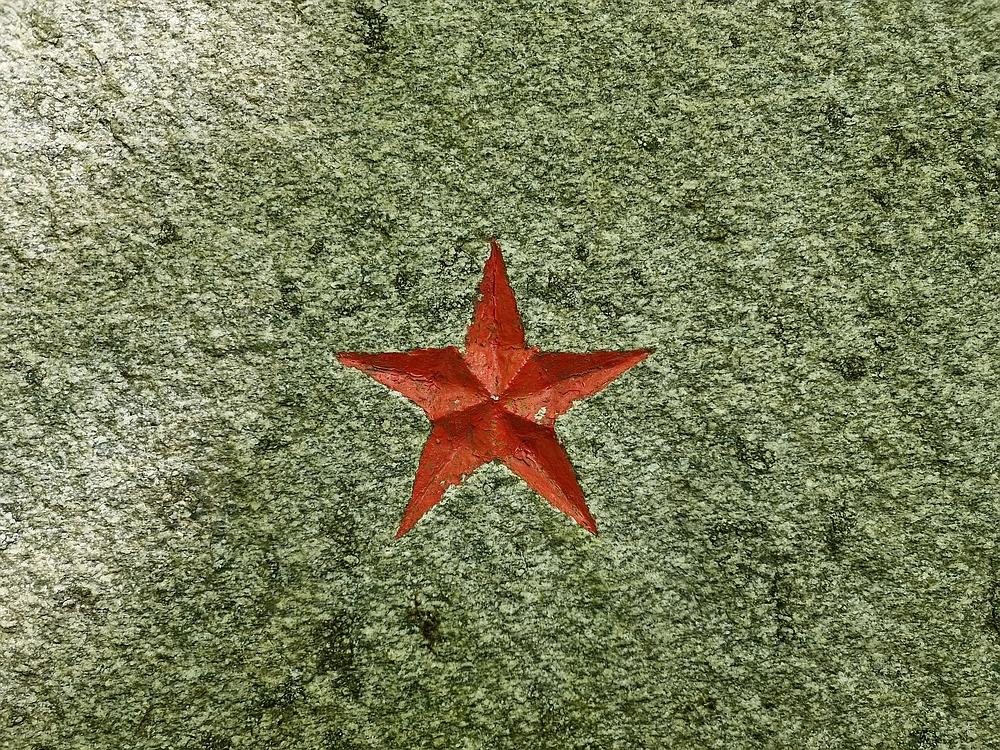 Slika je vidna v Google Chromu.