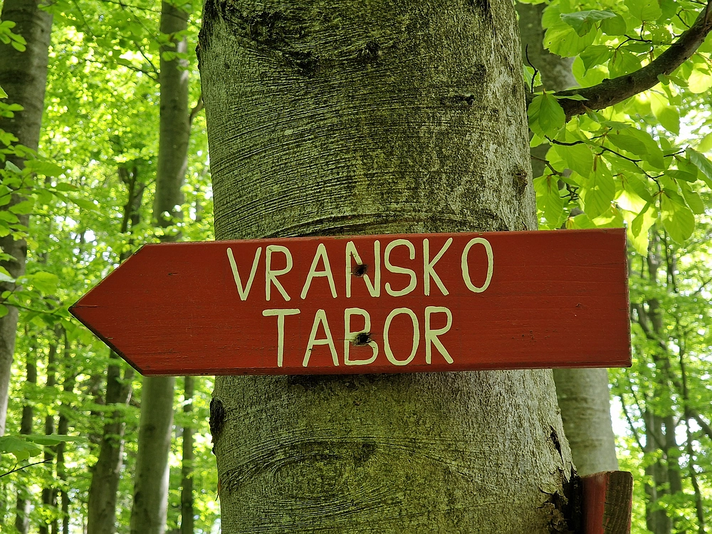 Slika je vidna v Google Chromu.