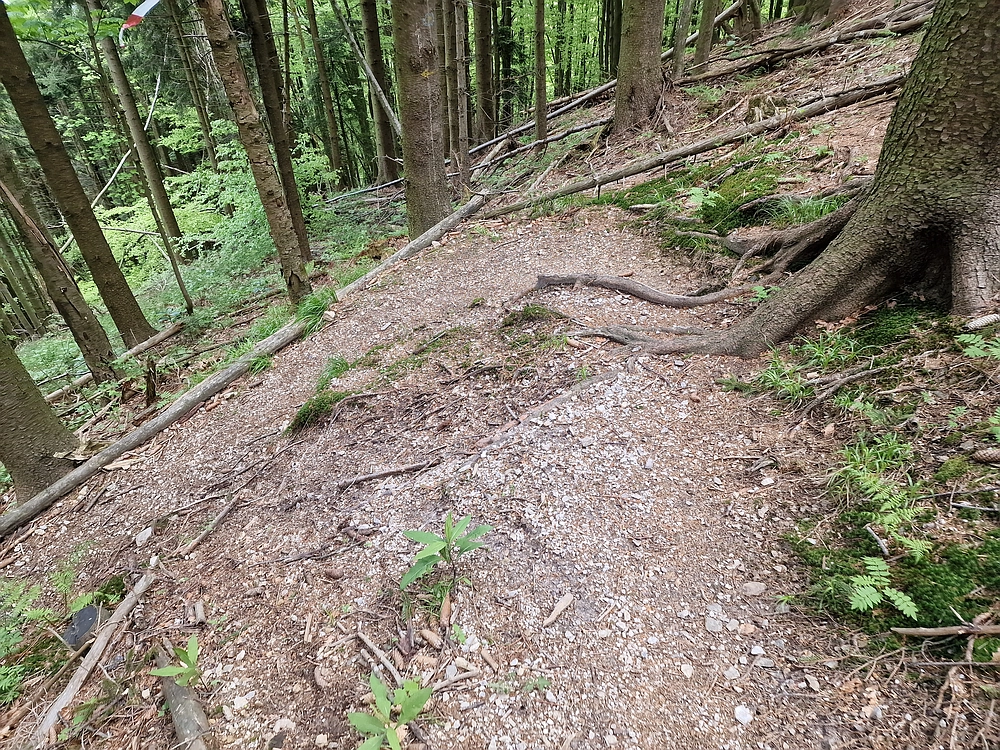 Slika je vidna v Google Chromu.