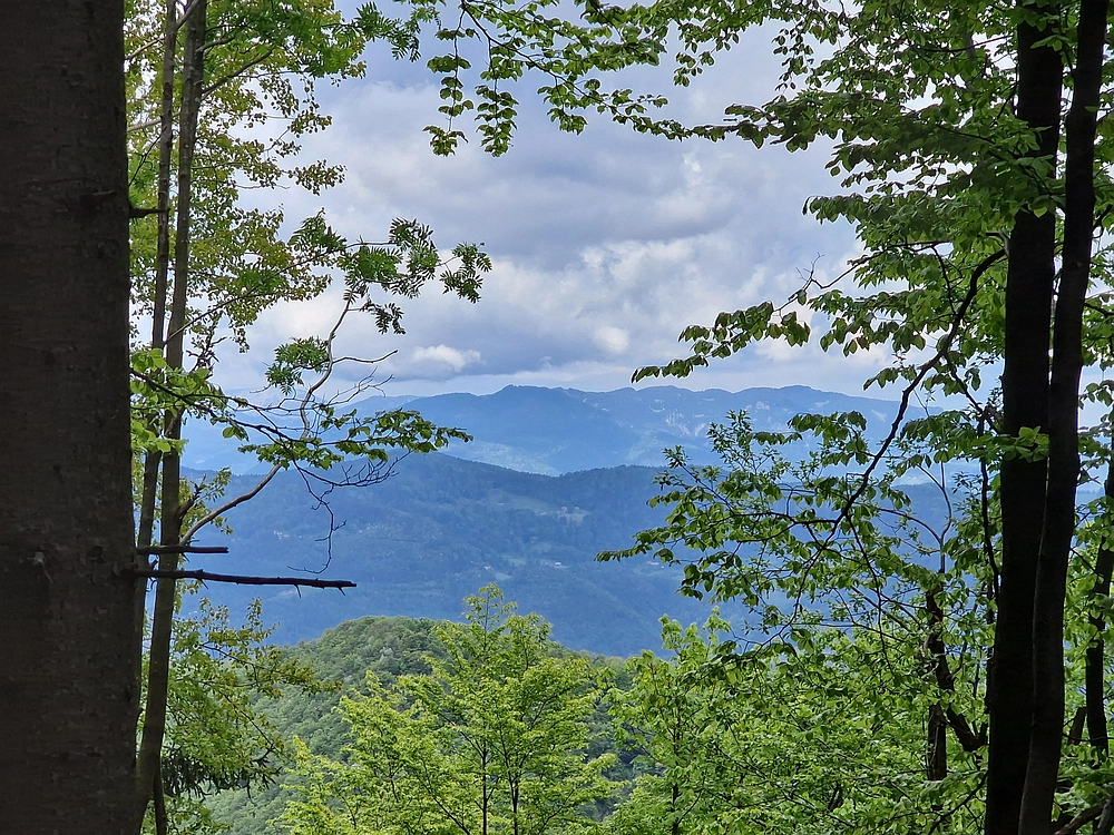 Slika je vidna v Google Chromu.