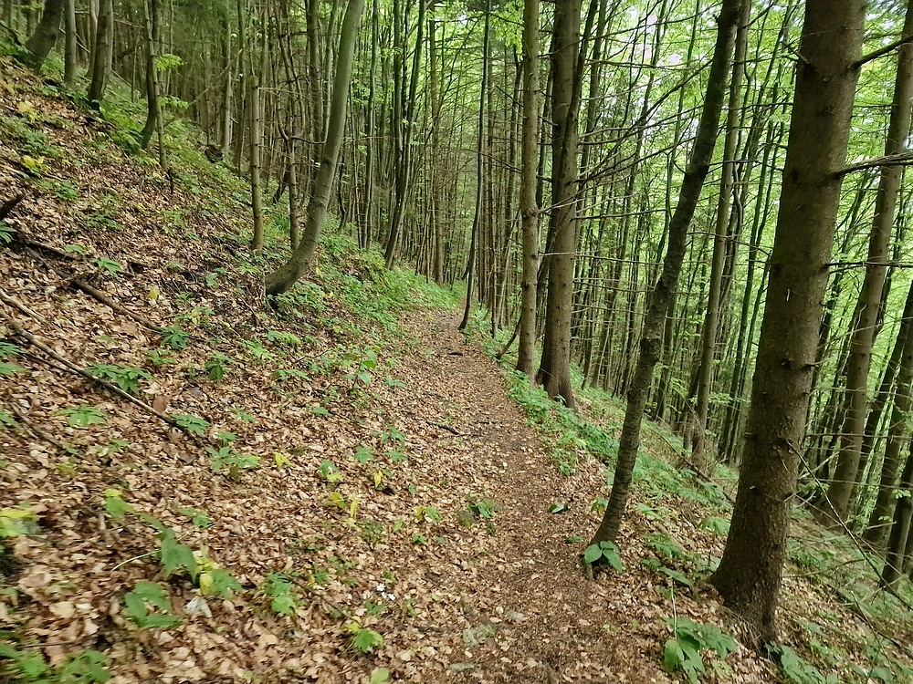 Slika je vidna v Google Chromu.