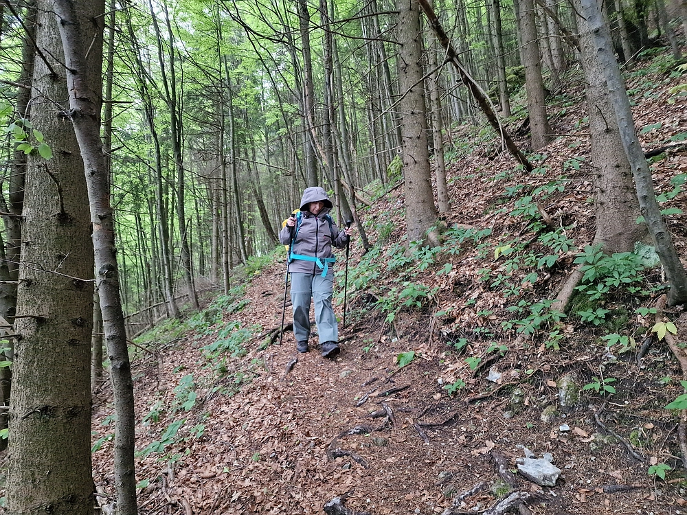 Slika je vidna v Google Chromu.