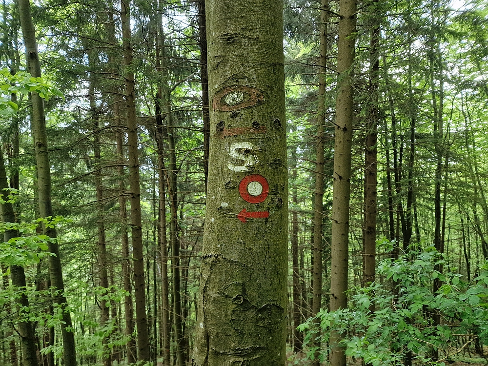 Slika je vidna v Google Chromu.