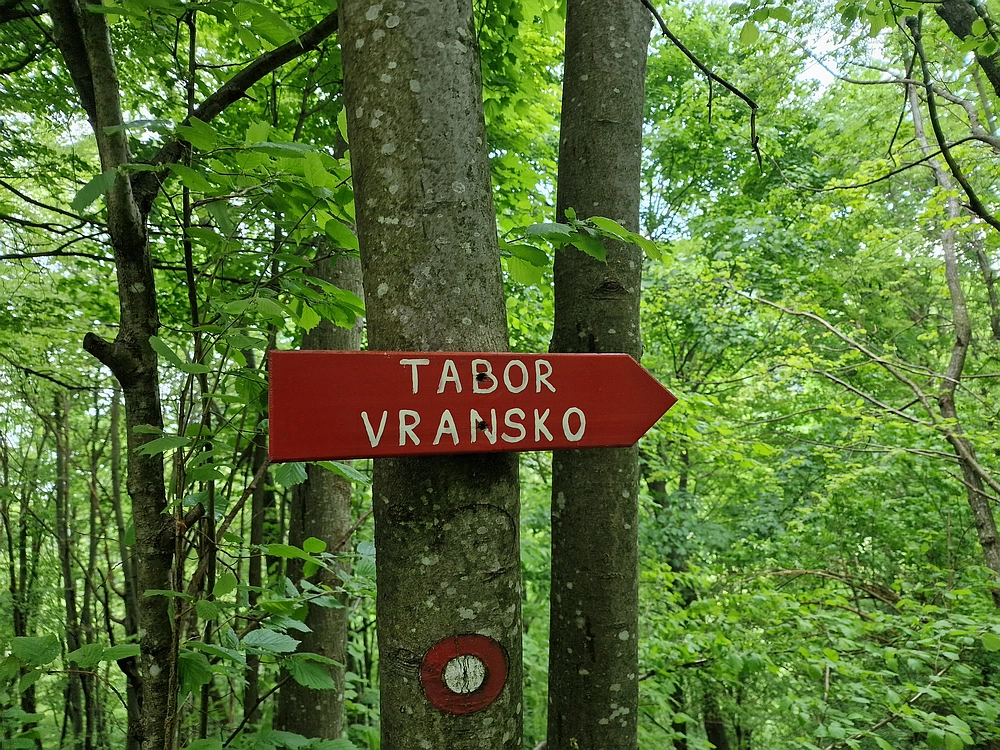 Slika je vidna v Google Chromu.