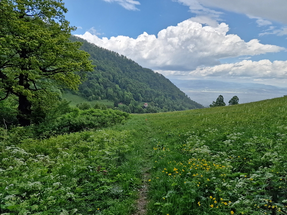 Slika je vidna v Google Chromu.