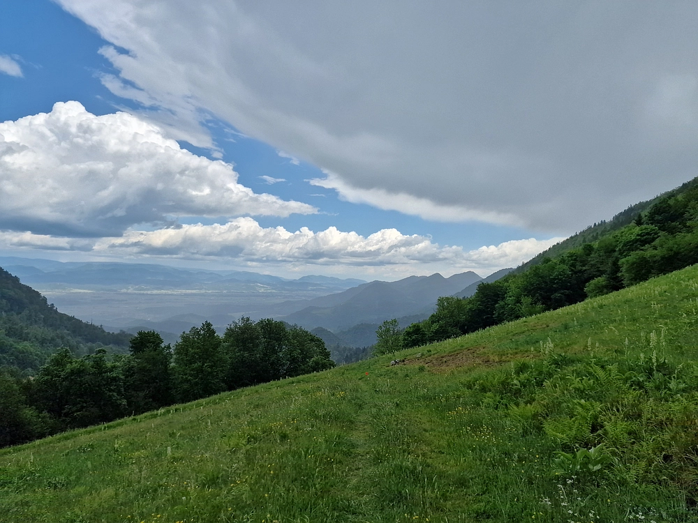 Slika je vidna v Google Chromu.