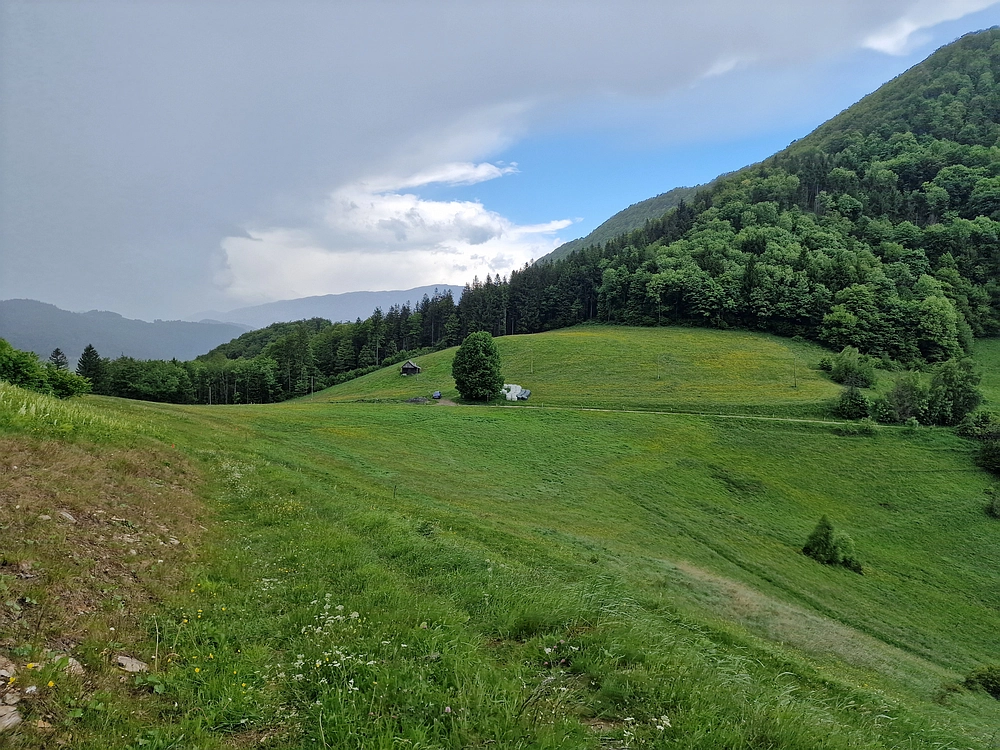 Slika je vidna v Google Chromu.