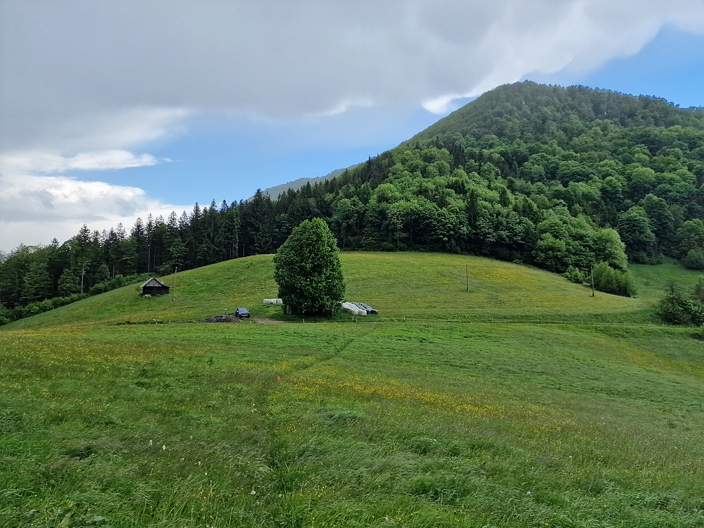 Slika je vidna v Google Chromu.