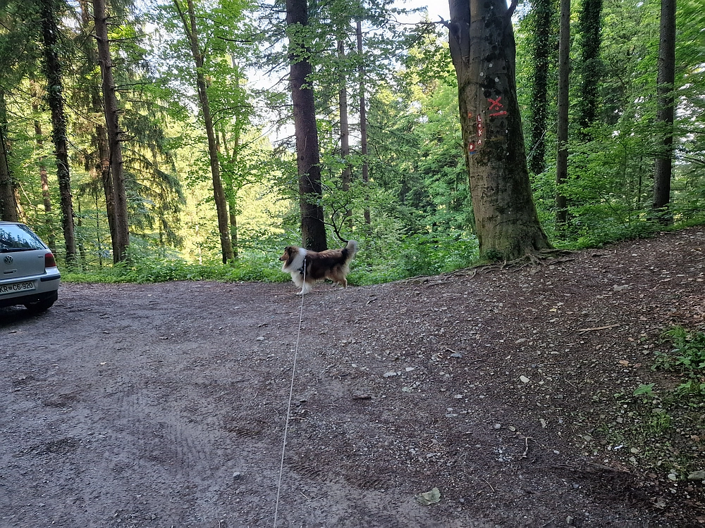 Slika je vidna v Google Chromu.