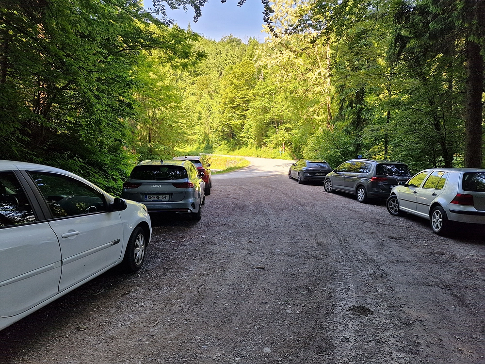 Slika je vidna v Google Chromu.