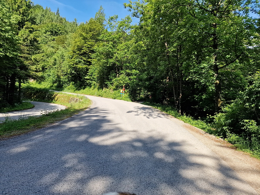 Slika je vidna v Google Chromu.