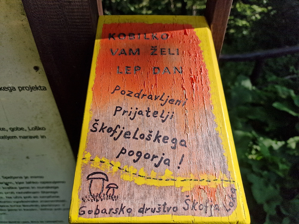 Slika je vidna v Google Chromu.