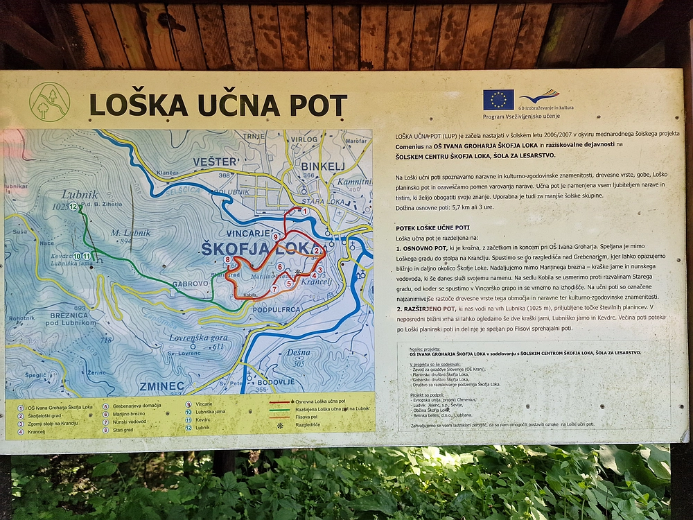 Slika je vidna v Google Chromu.