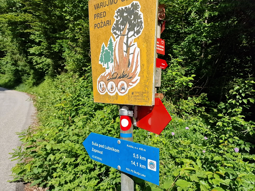 Slika je vidna v Google Chromu.