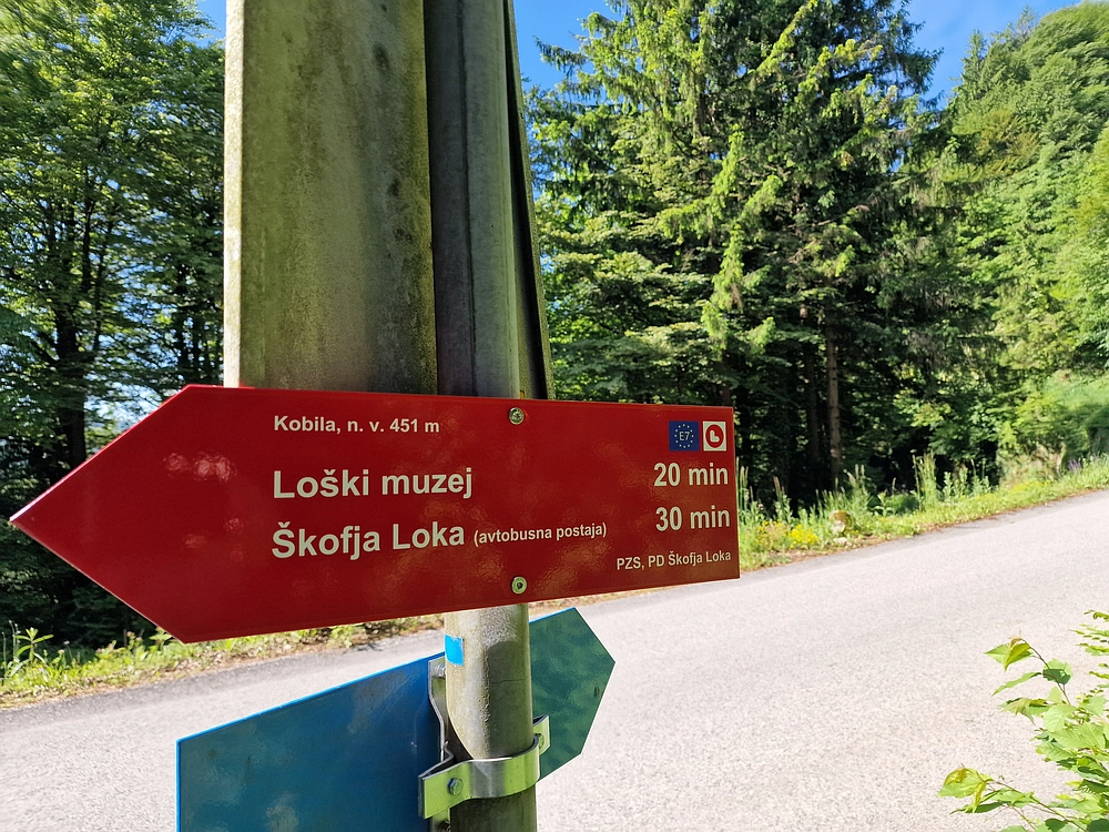 Slika je vidna v Google Chromu.