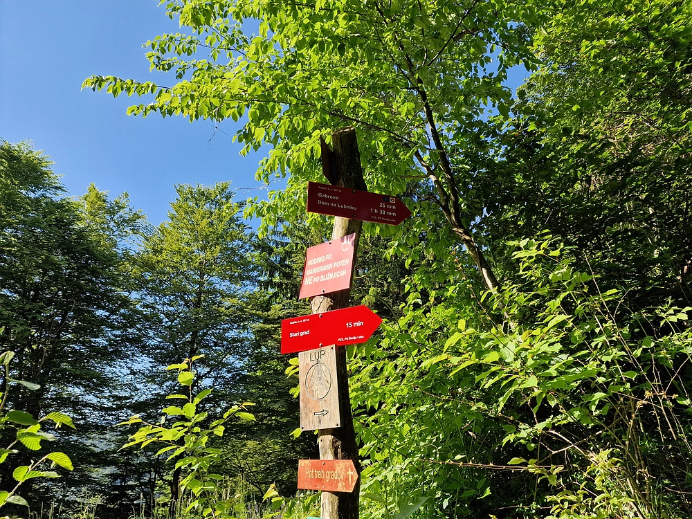 Slika je vidna v Google Chromu.