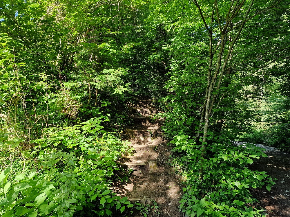 Slika je vidna v Google Chromu.