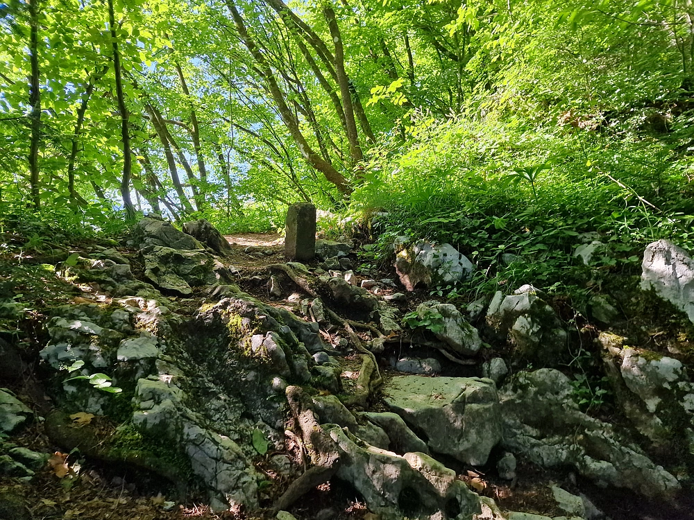 Slika je vidna v Google Chromu.