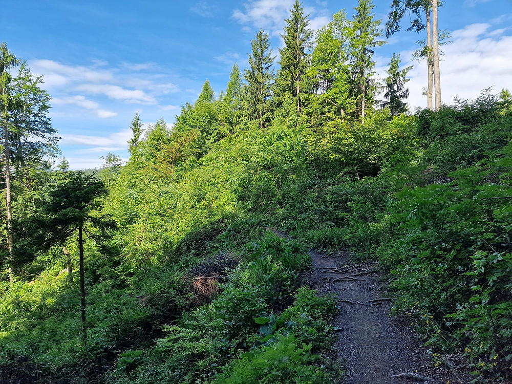 Slika je vidna v Google Chromu.