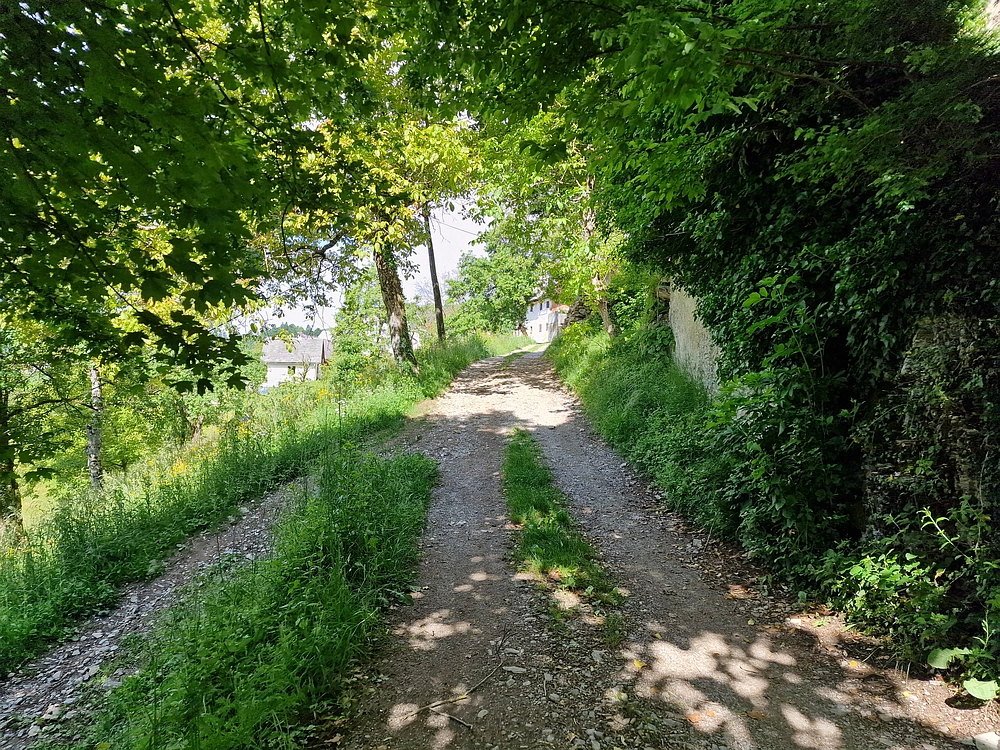 Slika je vidna v Google Chromu.