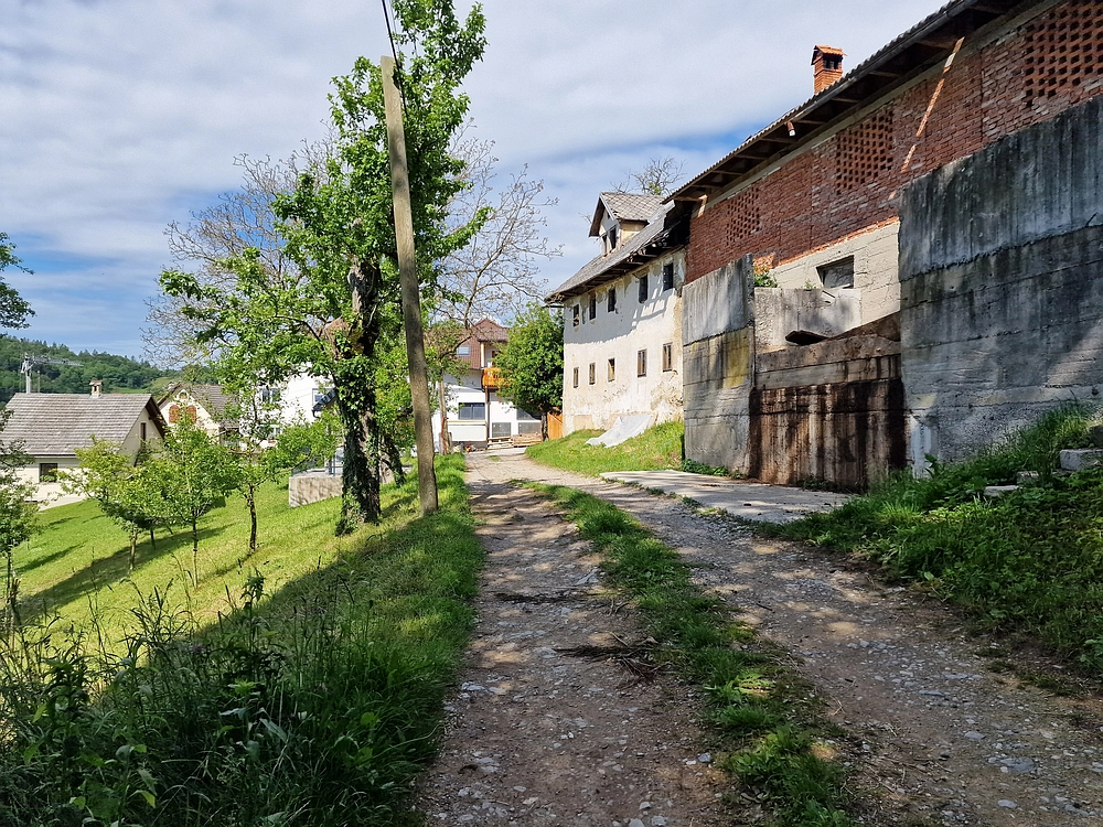 Slika je vidna v Google Chromu.