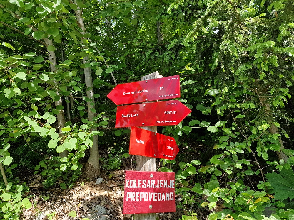 Slika je vidna v Google Chromu.