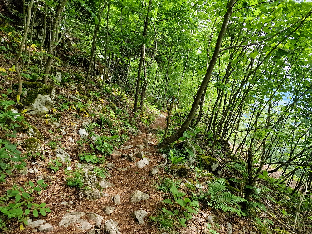 Slika je vidna v Google Chromu.
