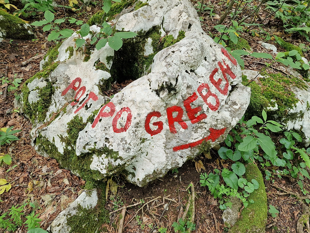 Slika je vidna v Google Chromu.