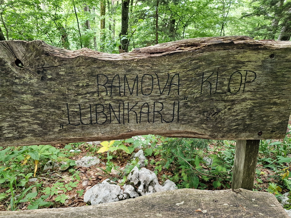 Slika je vidna v Google Chromu.