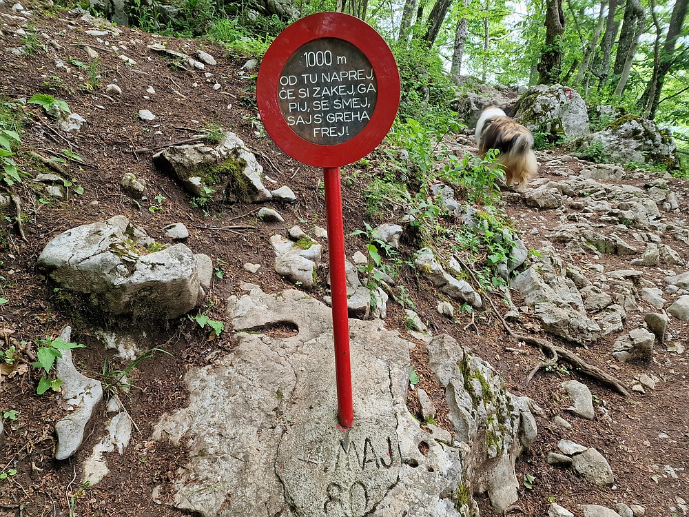 Slika je vidna v Google Chromu.