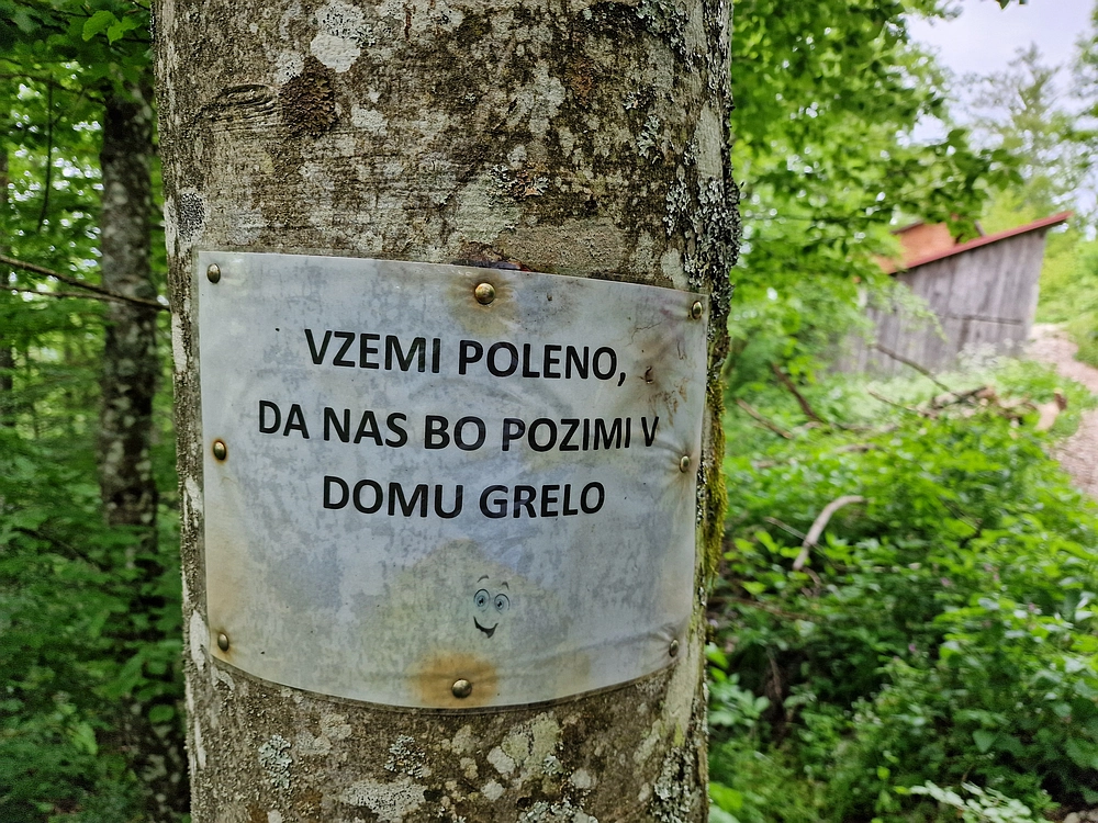 Slika je vidna v Google Chromu.