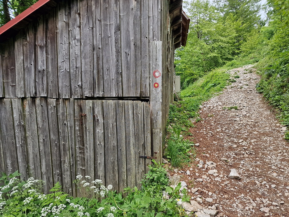 Slika je vidna v Google Chromu.