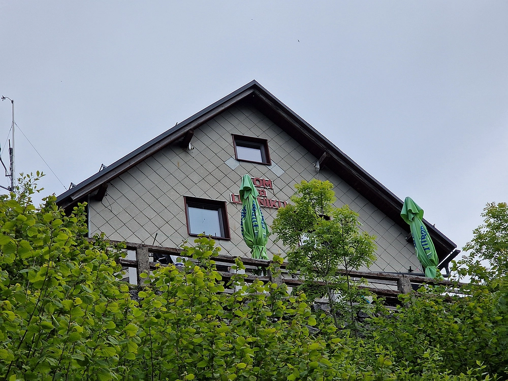 Slika je vidna v Google Chromu.