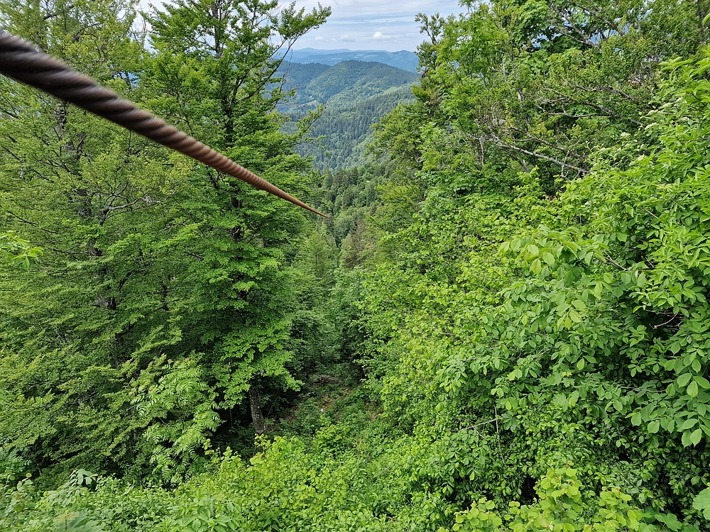 Slika je vidna v Google Chromu.
