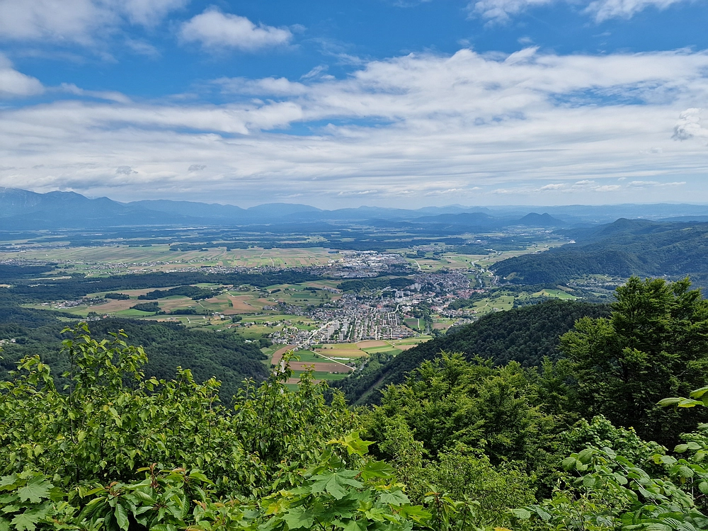 Slika je vidna v Google Chromu.