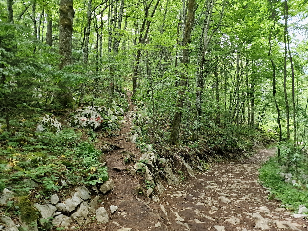 Slika je vidna v Google Chromu.