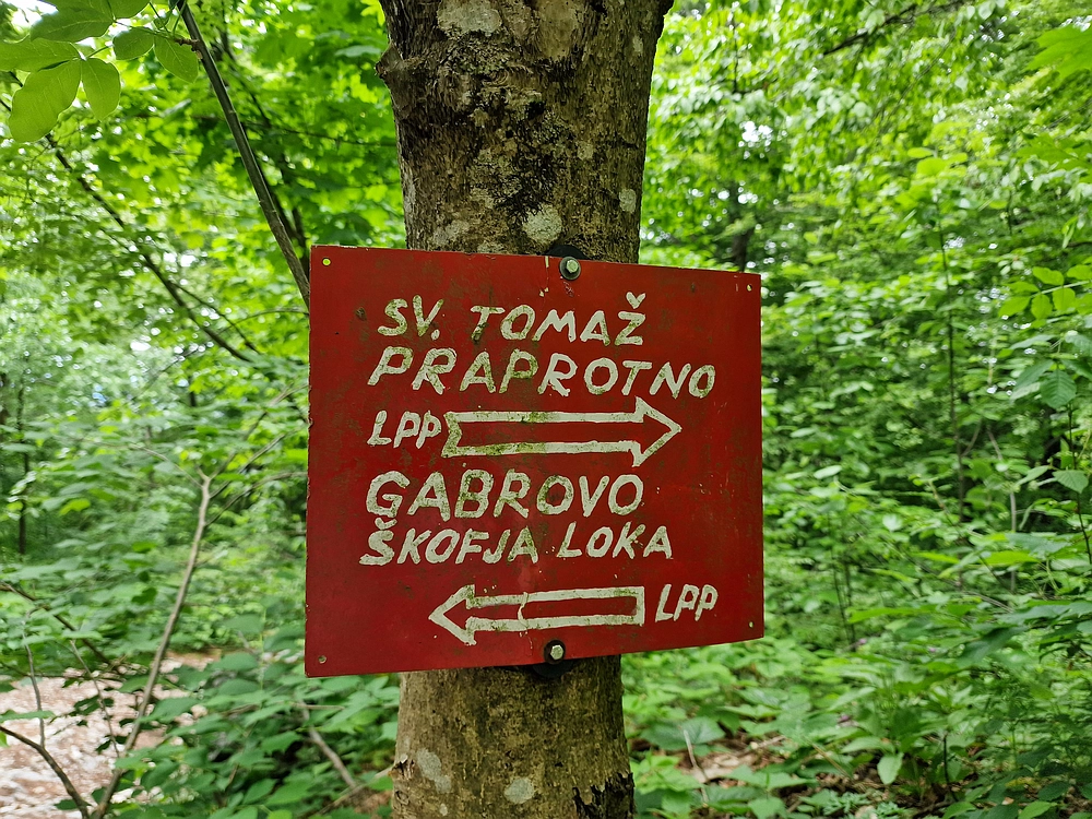 Slika je vidna v Google Chromu.